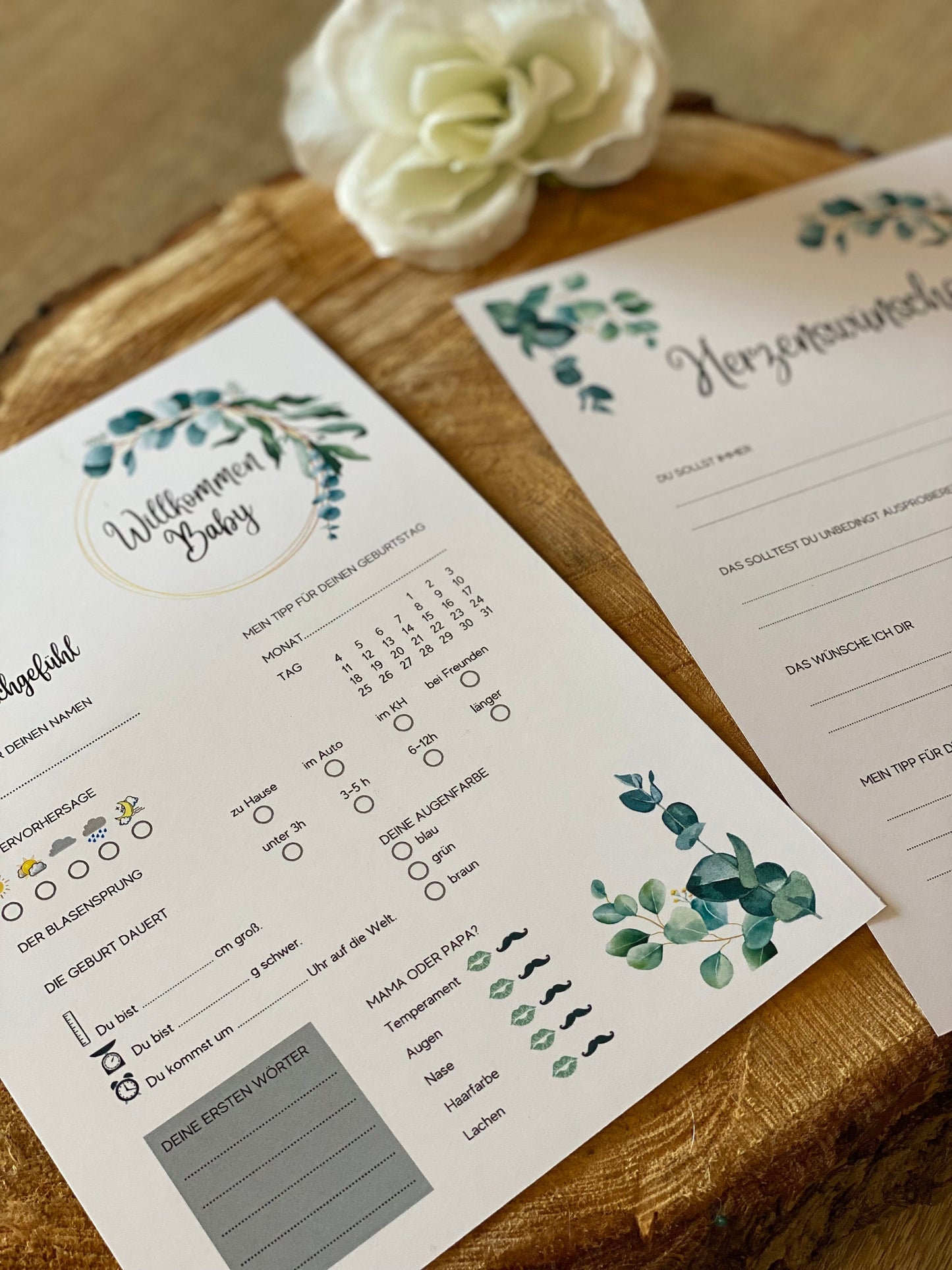 Tippkarten für Babyparty | Motiv Eukalyptus - MundS Design Shop